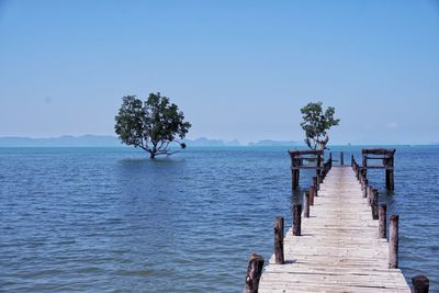 Wooden pier on sea against clear sky