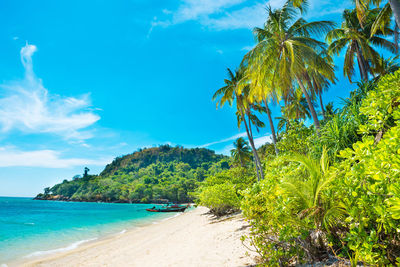Panorama of beach on paradise tropical island with coconut palm trees, white sand and blue sea