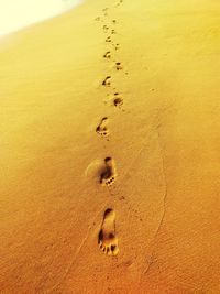 High angle view of footprints on sand at beach