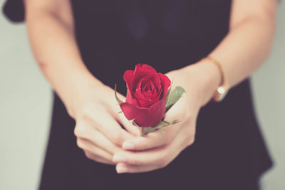 Close-up of hands holding rose