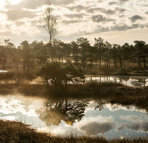 Reflection of trees in lake against sky