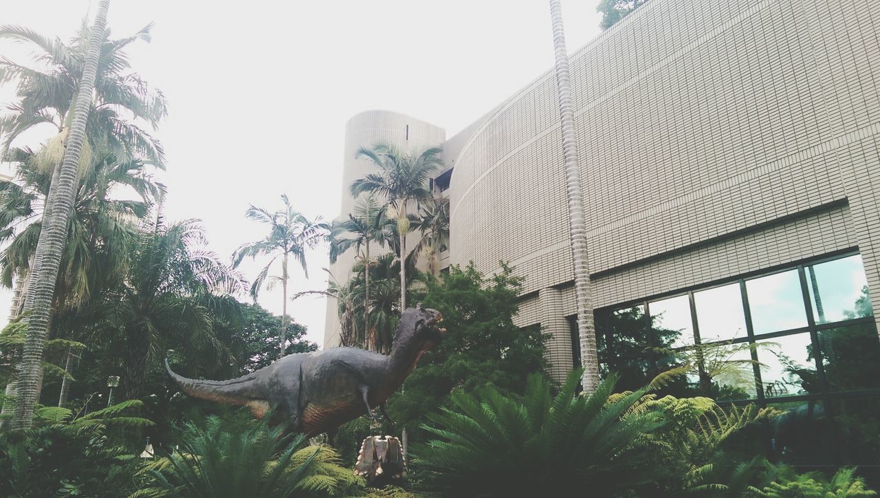 architecture, built structure, building exterior, low angle view, clear sky, tree, plant, palm tree, growth, building, day, sky, outdoors, city, window, statue, no people, green color, art and craft, sculpture