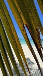 Low angle view of metallic structure on beach against clear sky