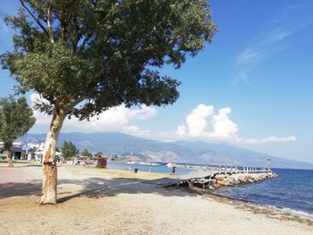 Scenic view of beach against sky