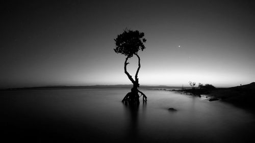 Silhouette tree by sea against sky