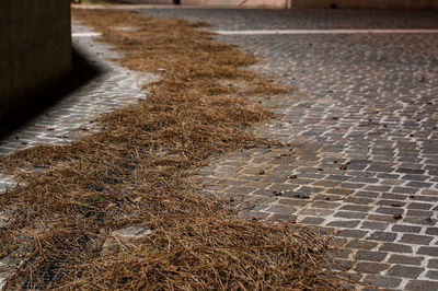 High angle view of footpath by street