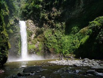 Scenic view of waterfall in forest