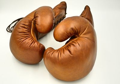 High angle view of pumpkins against white background