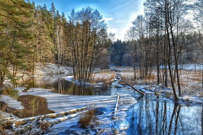 Bare trees on snow covered landscape