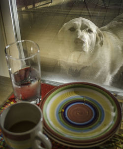 Close-up of drink on table