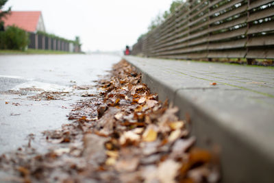 Surface level of railroad tracks in city
