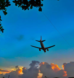 Low angle view of airplane flying in sky