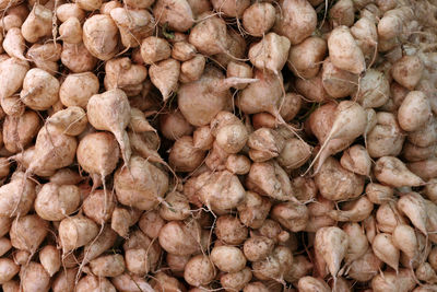 Yam bean close up background