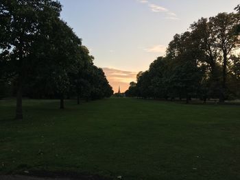 Trees on field against sky