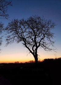 Silhouette tree on field against sky during sunset