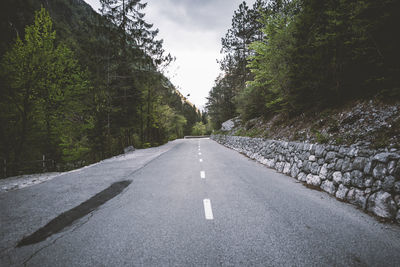 Trees growing by empty road