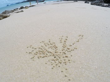 Footprints on sandy beach