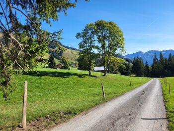 Scenic view of field