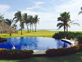 View of pond with trees in background
