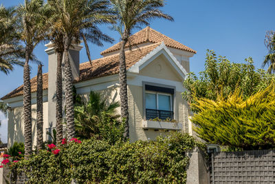 Low angle view of palm trees by building against sky