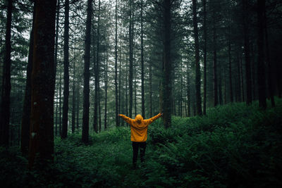 Man standing by trees in forest