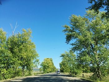 Country road along trees