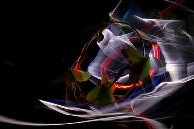 Close-up of light painting against black background