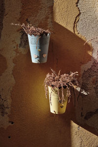 High angle view of potted plant on wall
