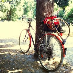 Bicycle parked in row