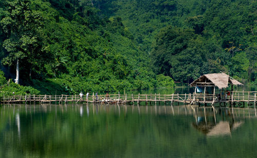 Scenic view of lake by trees