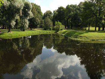 Reflection of trees on water