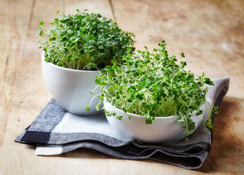 High angle view of potted plant on table