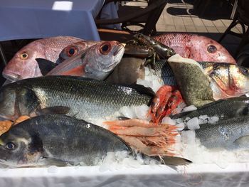 Close-up of fish for sale in market