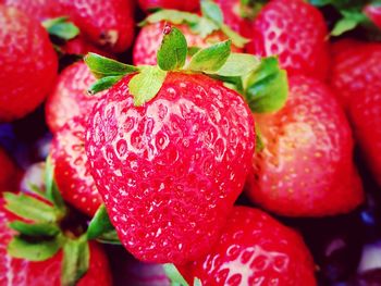 Close-up of strawberries