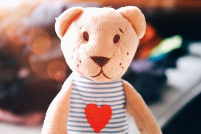 Close-up of stuffed toy