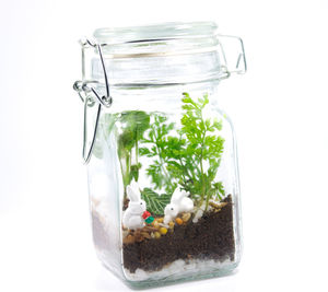 Close-up of ice cream in glass jar on white background