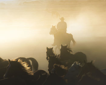 Group of people riding horse against sky