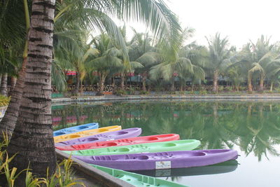 Boats in swimming pool by palm trees