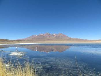 Scenic view of lake against clear blue sky