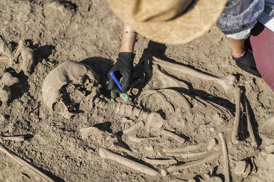 Low section of man working on sand