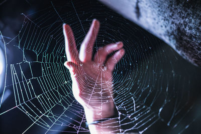 Cropped hand of person touching spider web