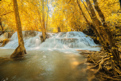 Scenic view of waterfall in forest during autumn