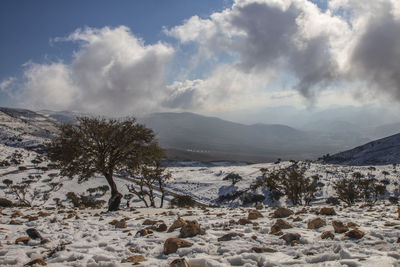 Scenic view of snowcapped mountains against sky