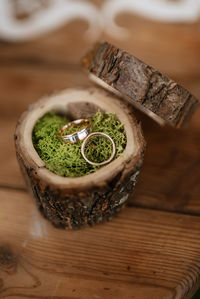 Close-up of potted plant on table