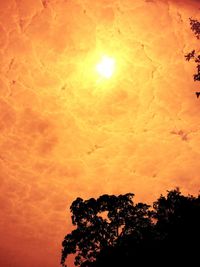 Low angle view of tree against sky during sunset