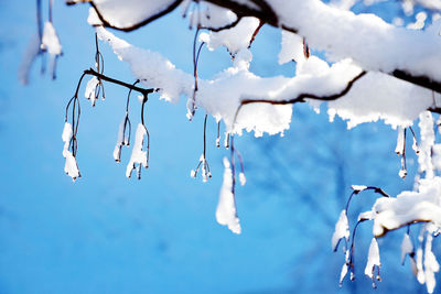 Close-up of icicles against blue sky