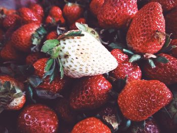 Full frame shot of strawberries