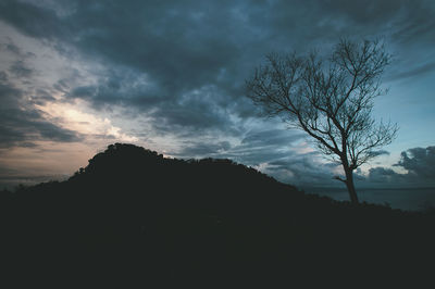 Silhouette tree against sky