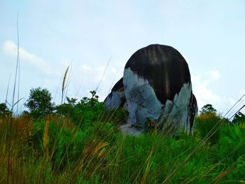 Panoramic shot of grass on field against sky