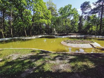 Scenic view of lake in forest